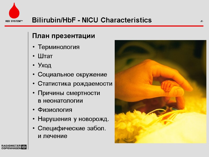 План презентации Терминология Штат Уход Социальное окружение Статистика рождаемости Причины смертности в неонатологии Физиология